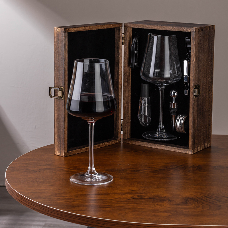 Wine Glass Gift Set with Wine Accessories